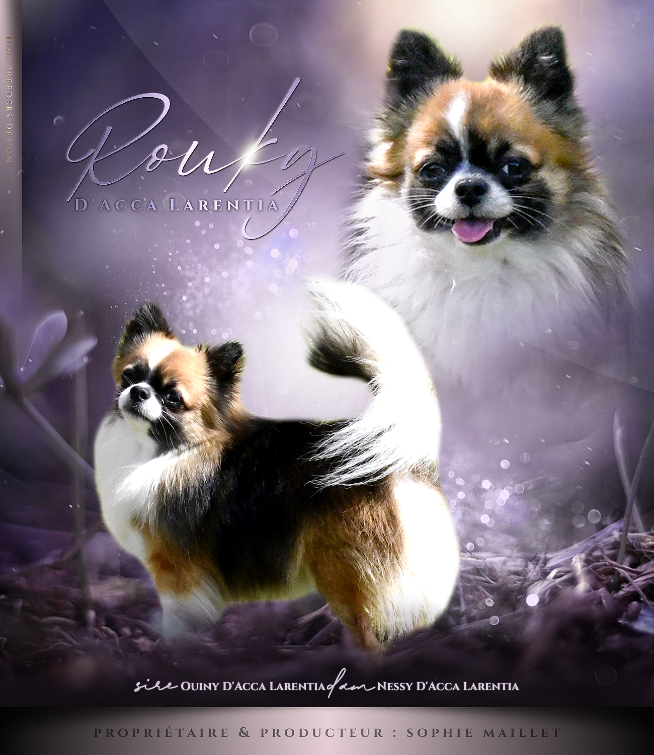 Rouky presentation 3