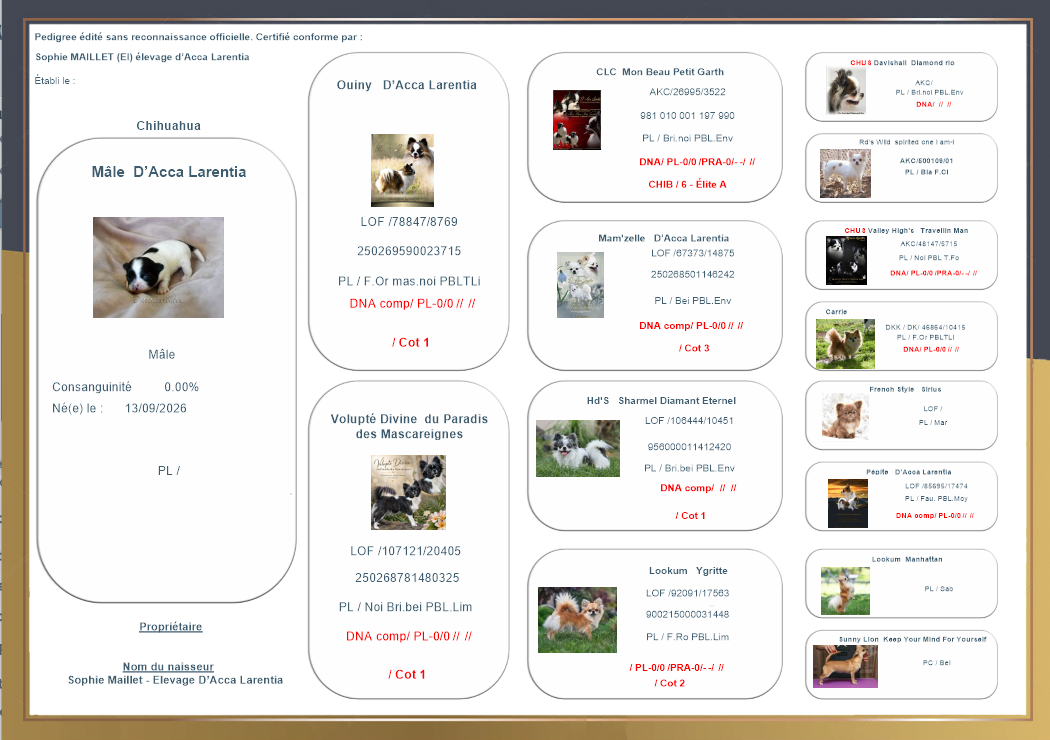 Ped photos chiots